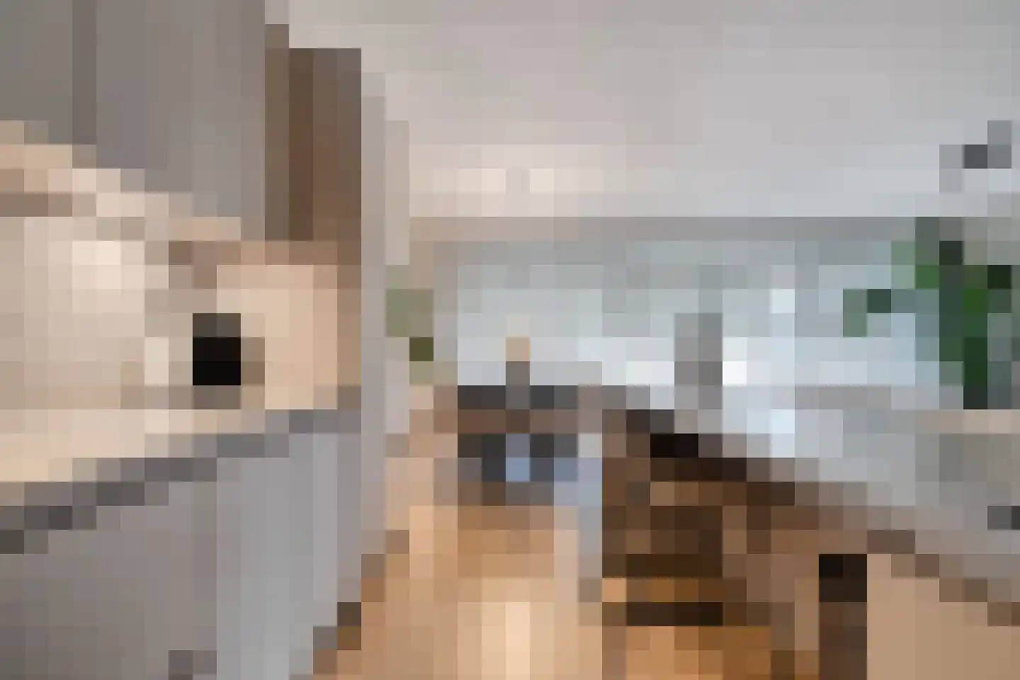 Stadzicht 9 Leiden thumbnail 15