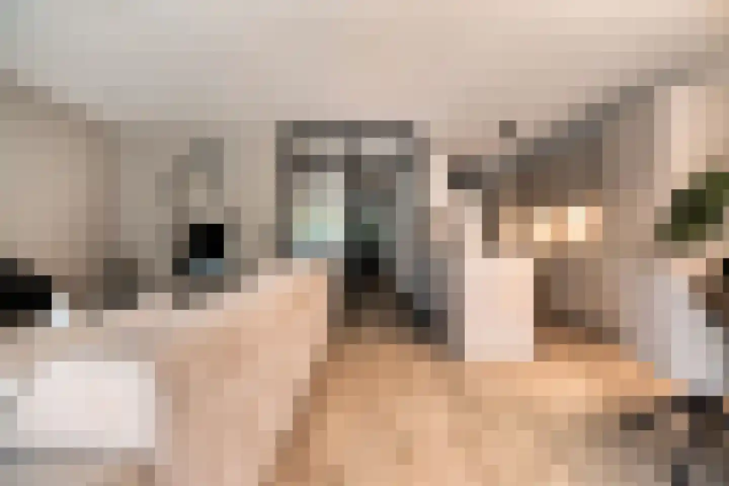 Stadzicht 9 Leiden thumbnail 16