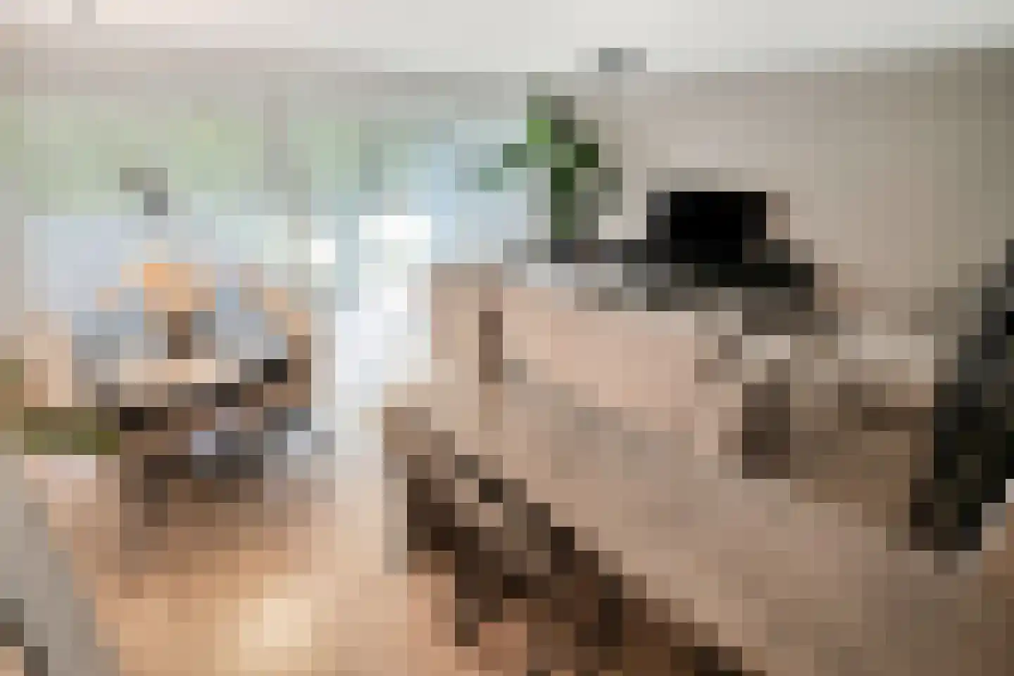 Stadzicht 9 Leiden thumbnail 4