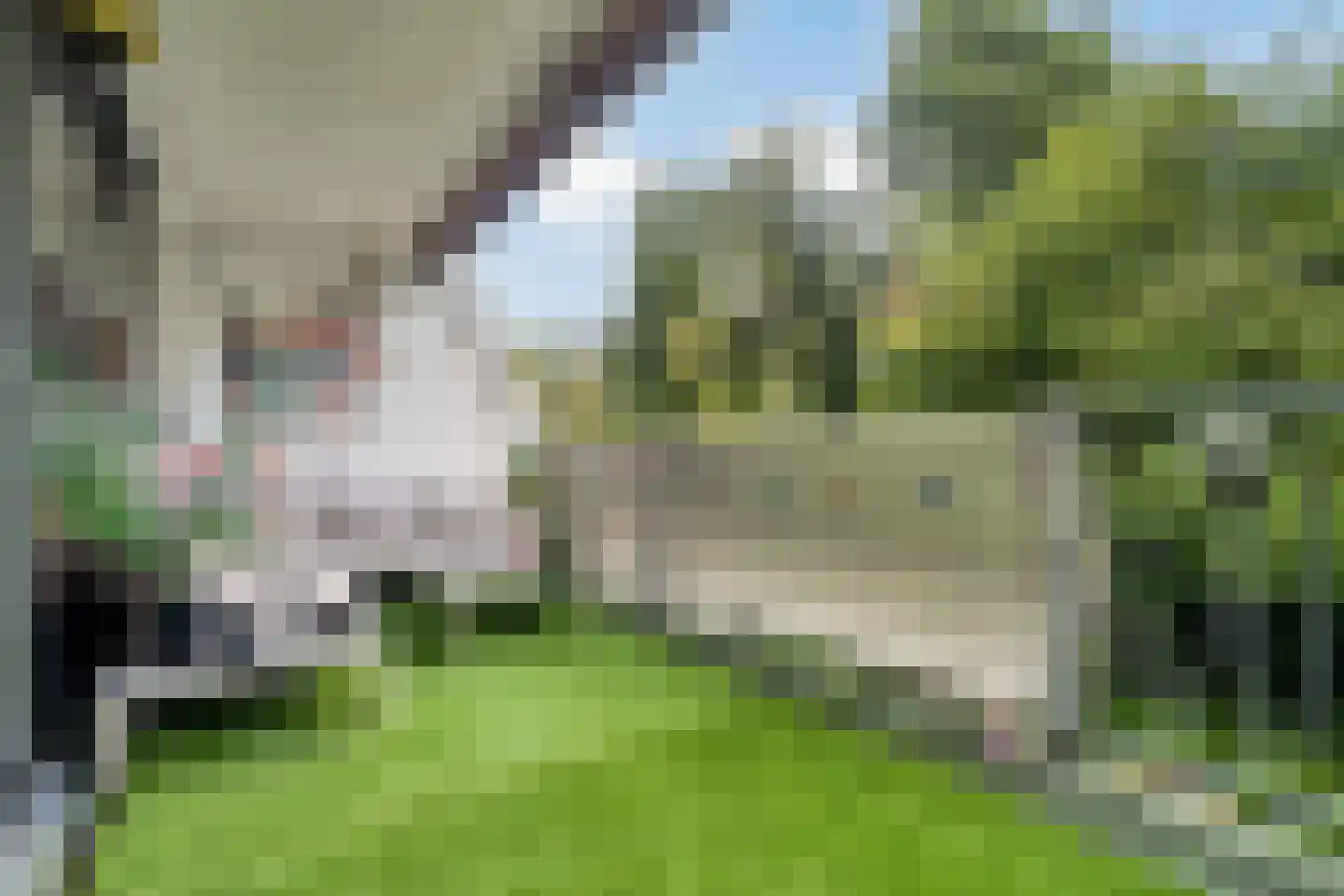 Stadzicht 9 Leiden thumbnail 6