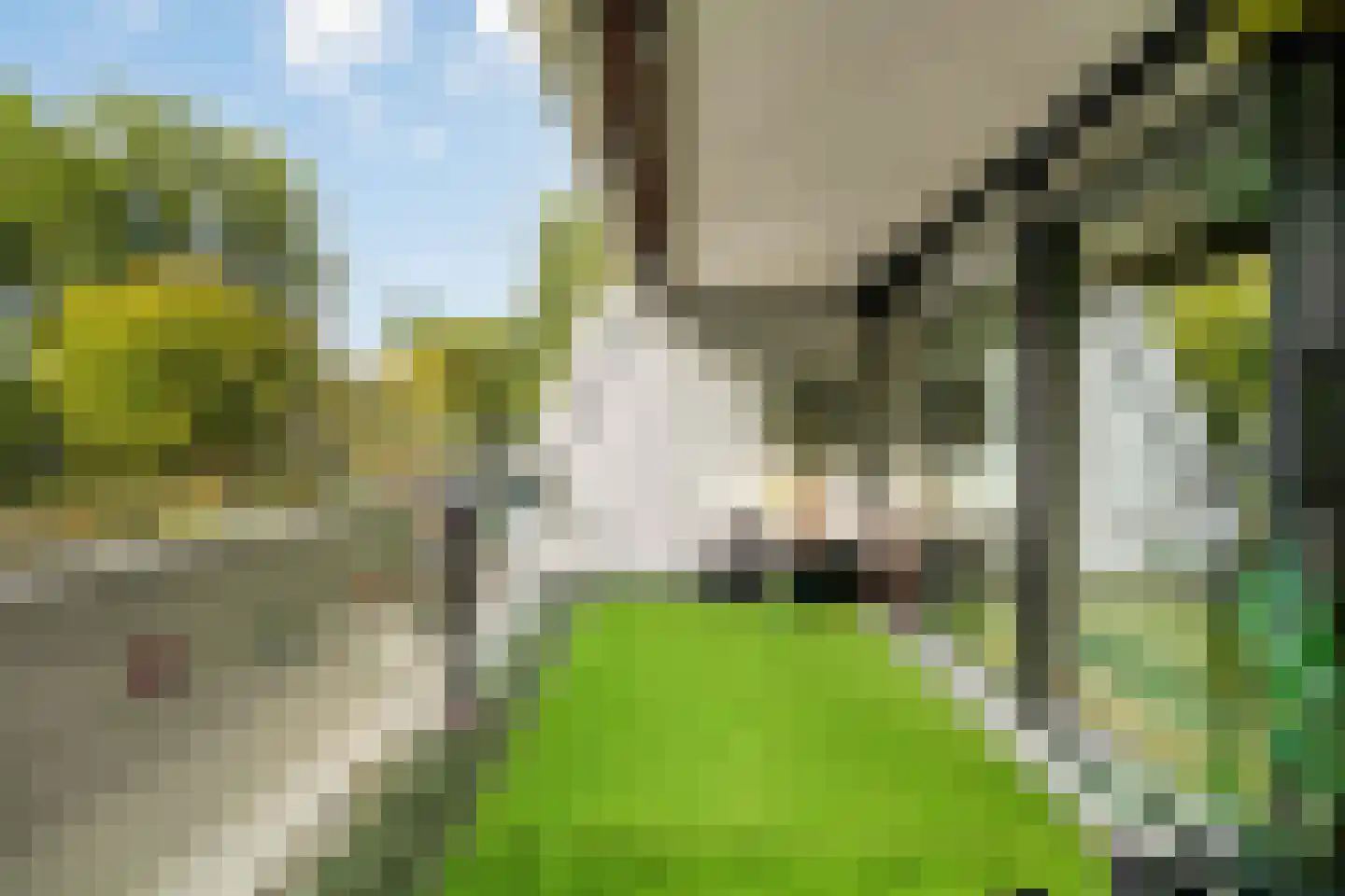 Stadzicht 9 Leiden thumbnail 7