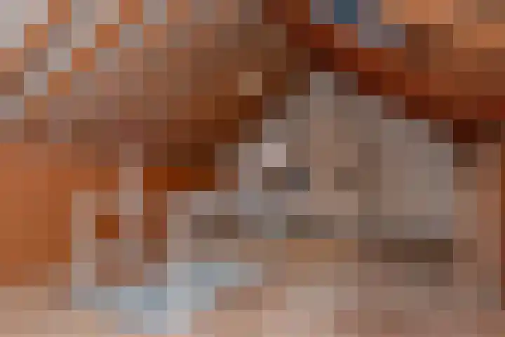 Staelsweg 6 Doornspijk thumbnail 26