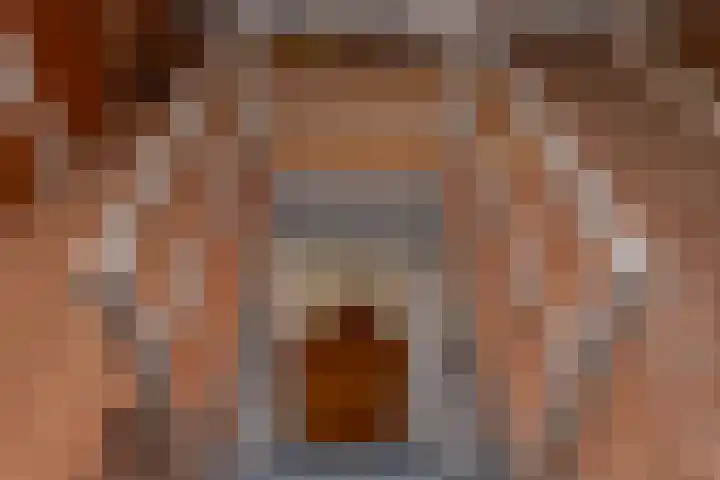 Staelsweg 6 Doornspijk thumbnail 28