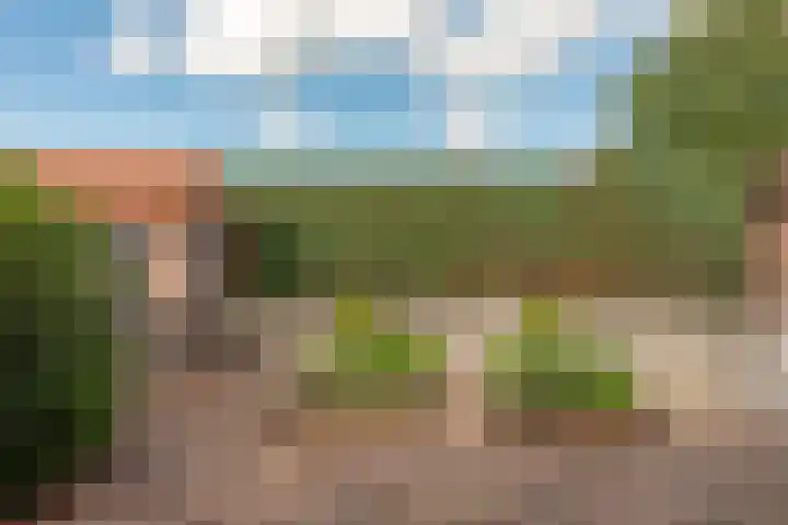 Staelsweg 6 Doornspijk thumbnail 29