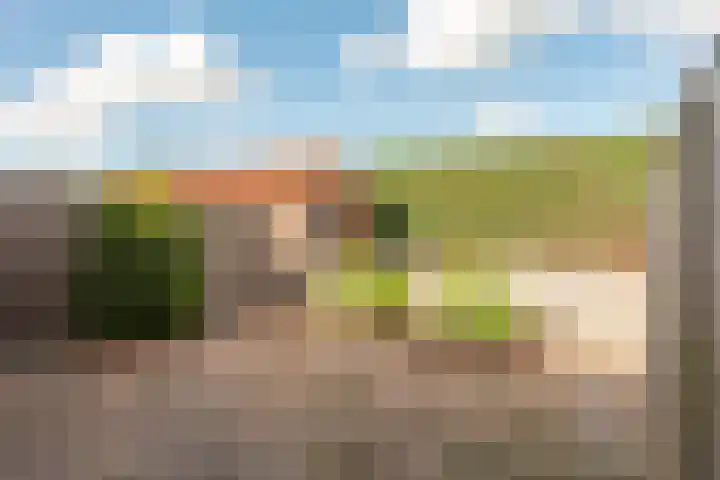 Staelsweg 6 Doornspijk thumbnail 31