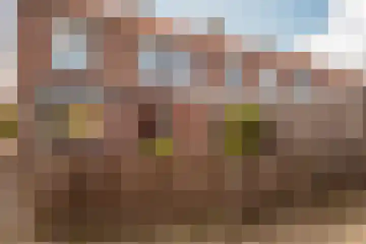 Staelsweg 6 Doornspijk thumbnail 32