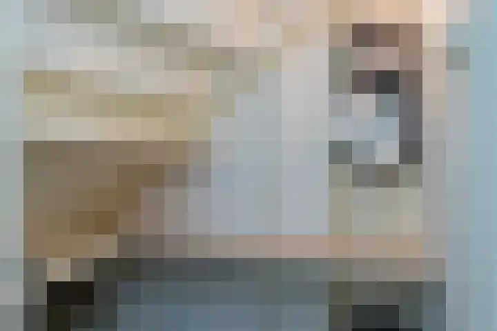 Staelsweg 6 Doornspijk thumbnail 6