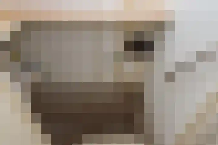 Staelsweg 6 Doornspijk thumbnail 7