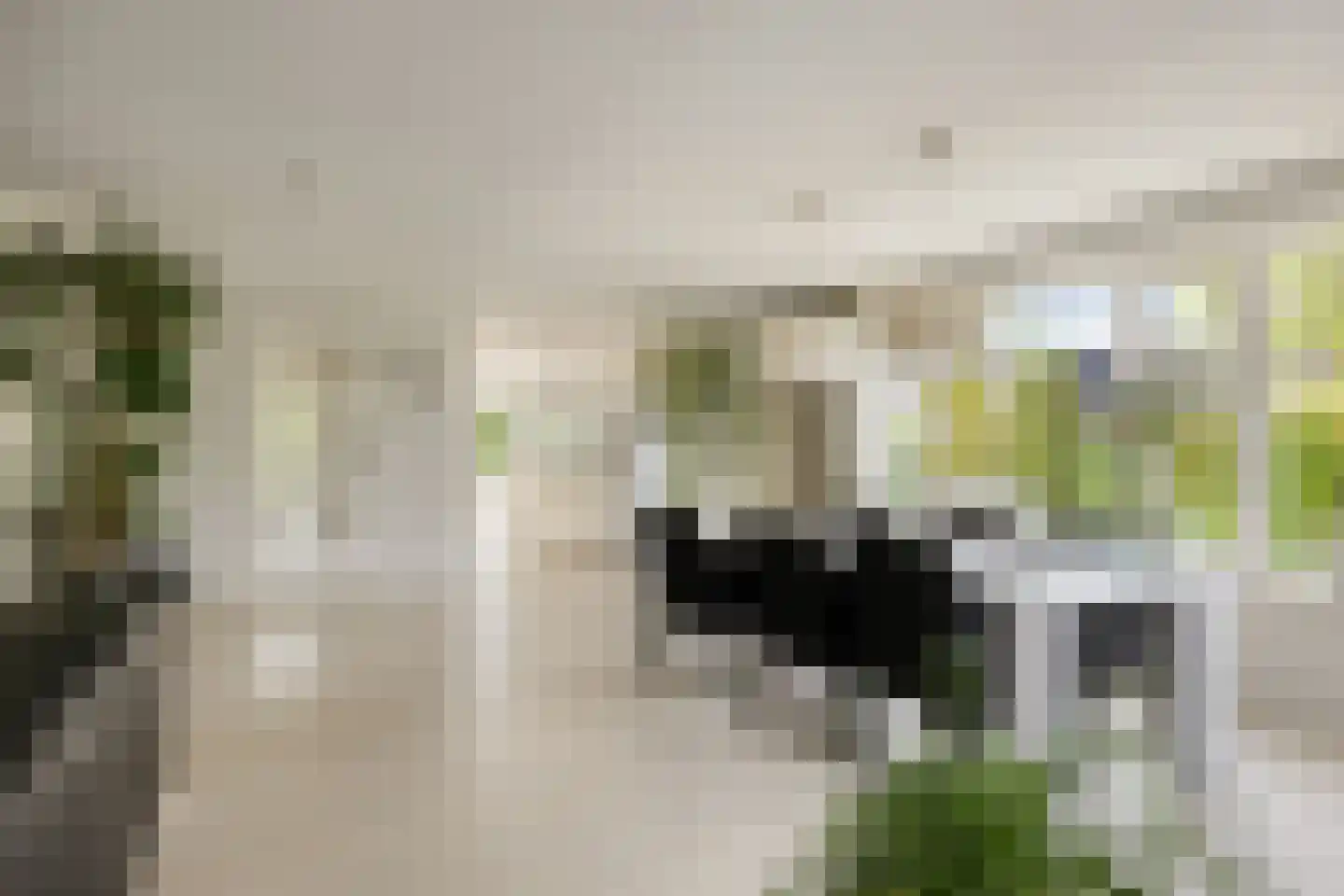 Stagfok 8 Capelle aan den IJssel thumbnail 12