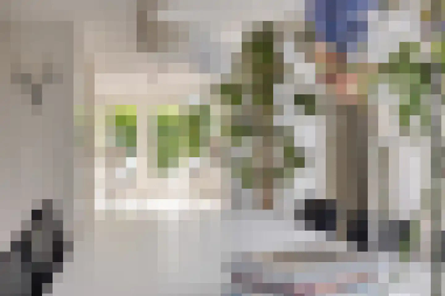 Stagfok 8 Capelle aan den IJssel thumbnail 13