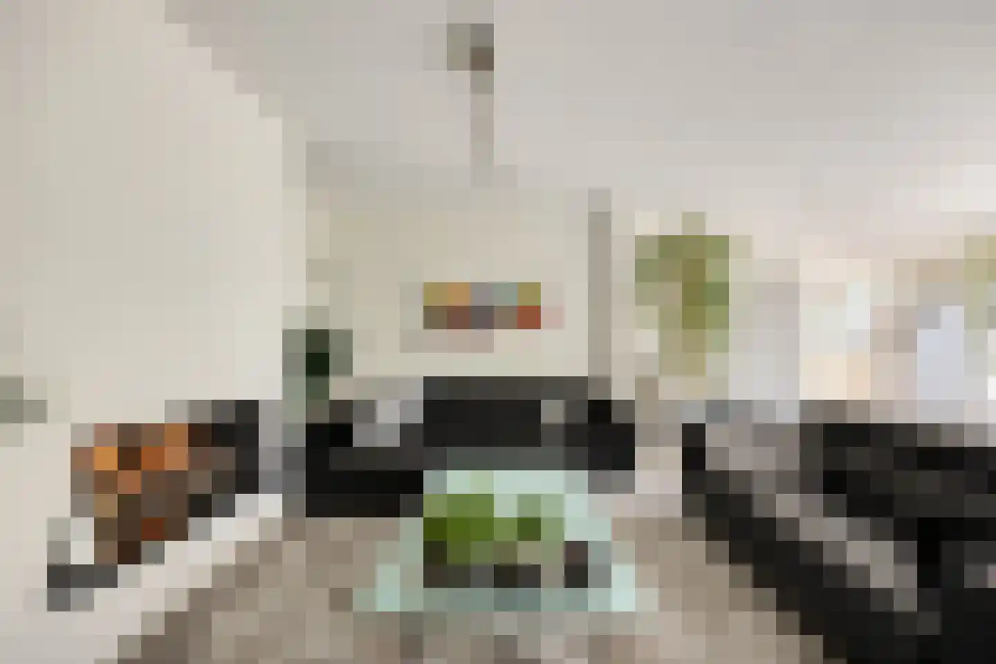 Stagfok 8 Capelle aan den IJssel thumbnail 17