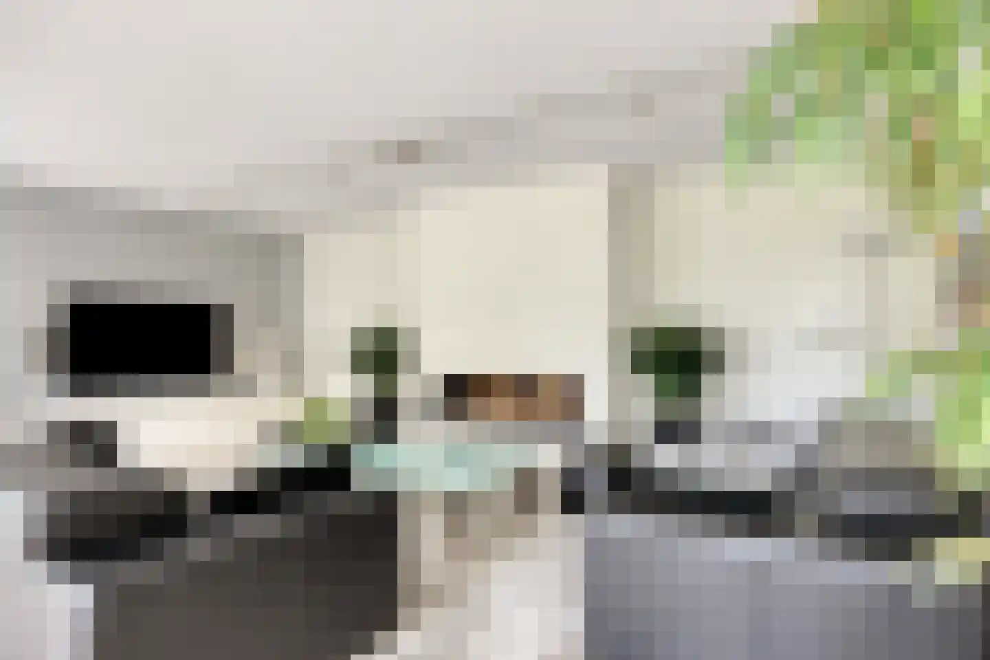 Stagfok 8 Capelle aan den IJssel thumbnail 19