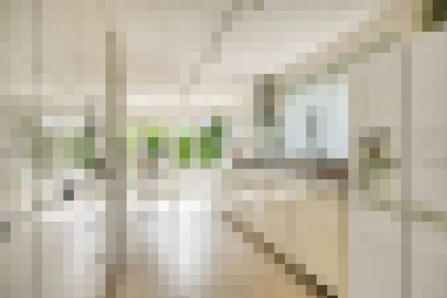 Stagfok 8 Capelle aan den IJssel thumbnail 23