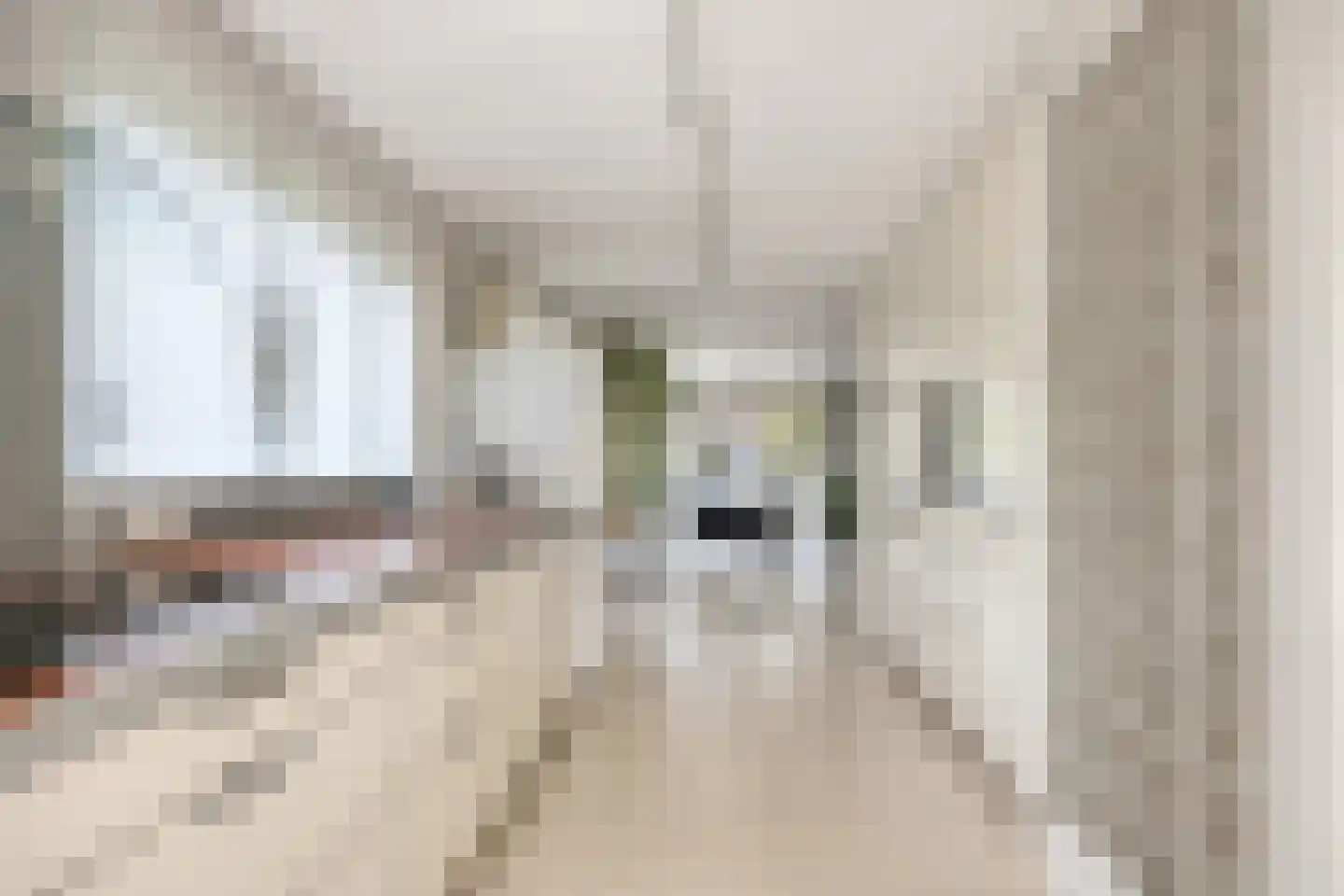 Stagfok 8 Capelle aan den IJssel thumbnail 24