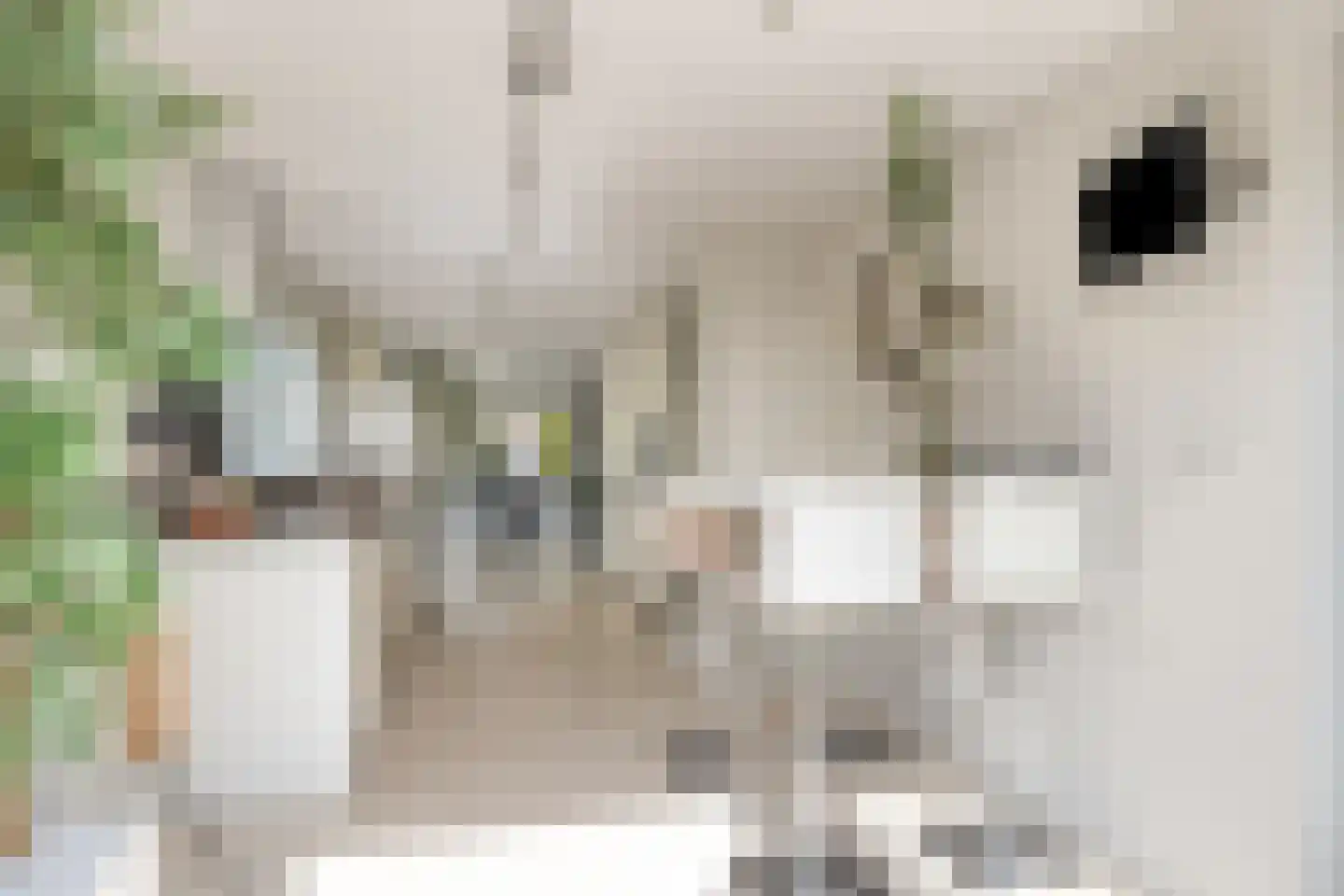 Stagfok 8 Capelle aan den IJssel thumbnail 26