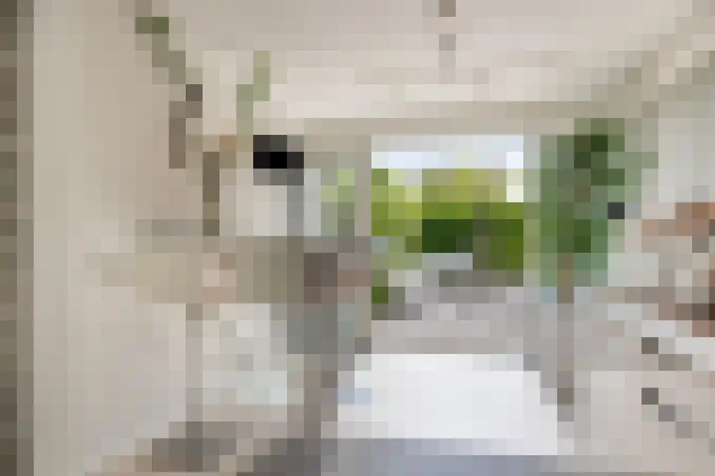 Stagfok 8 Capelle aan den IJssel thumbnail 27
