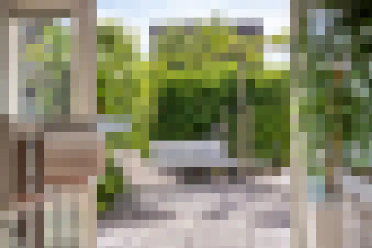 Stagfok 8 Capelle aan den IJssel thumbnail 28
