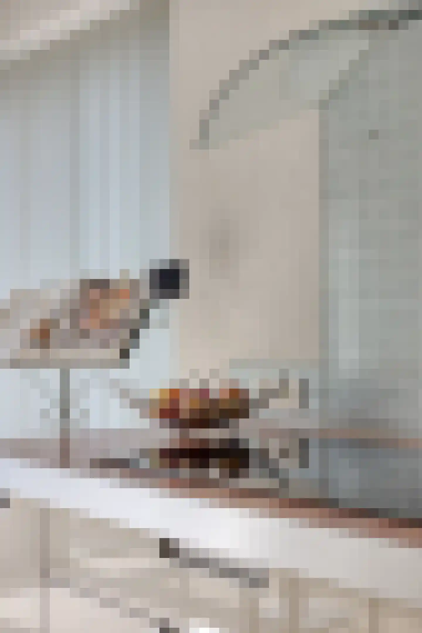 Stagfok 8 Capelle aan den IJssel thumbnail 33