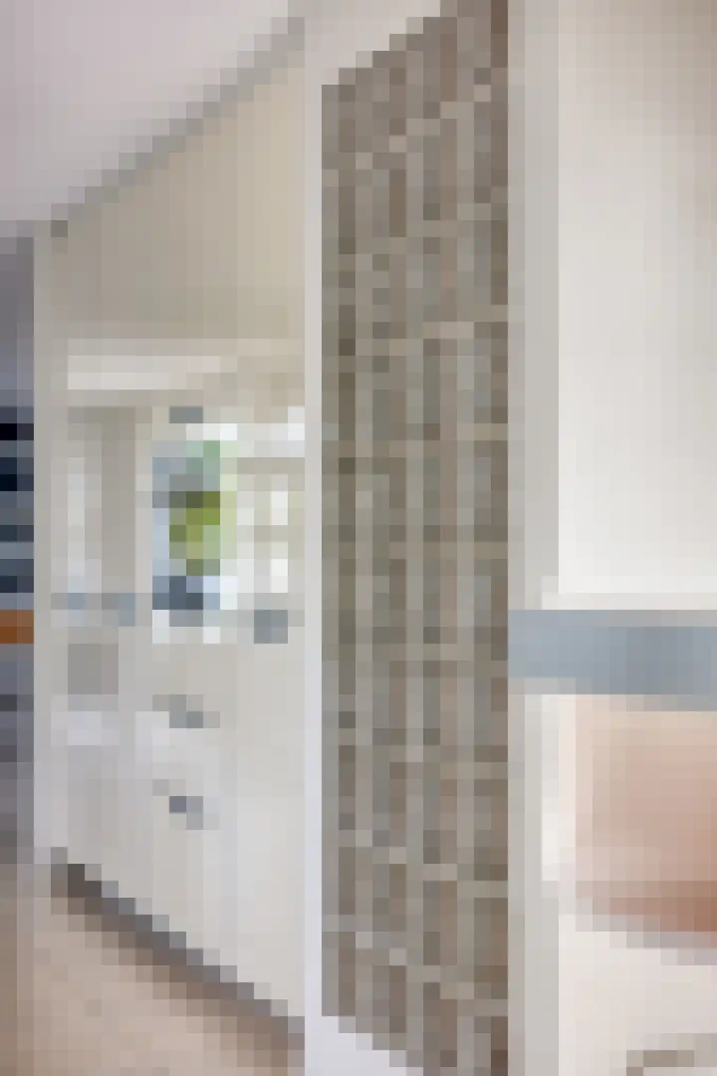 Stagfok 8 Capelle aan den IJssel thumbnail 35