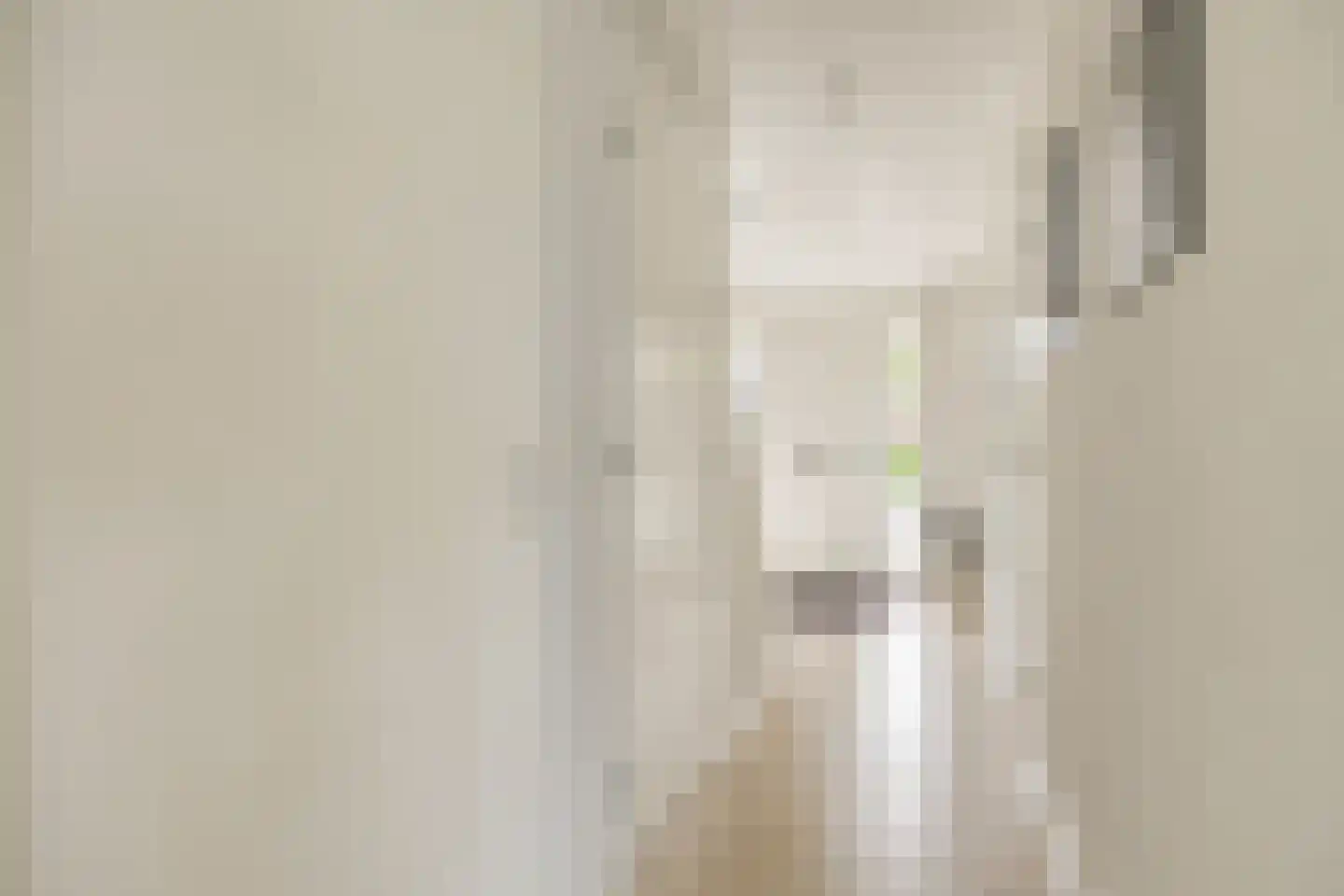 Stagfok 8 Capelle aan den IJssel thumbnail 4