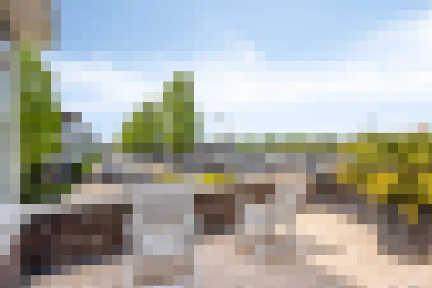 Stagfok 8 Capelle aan den IJssel thumbnail 46