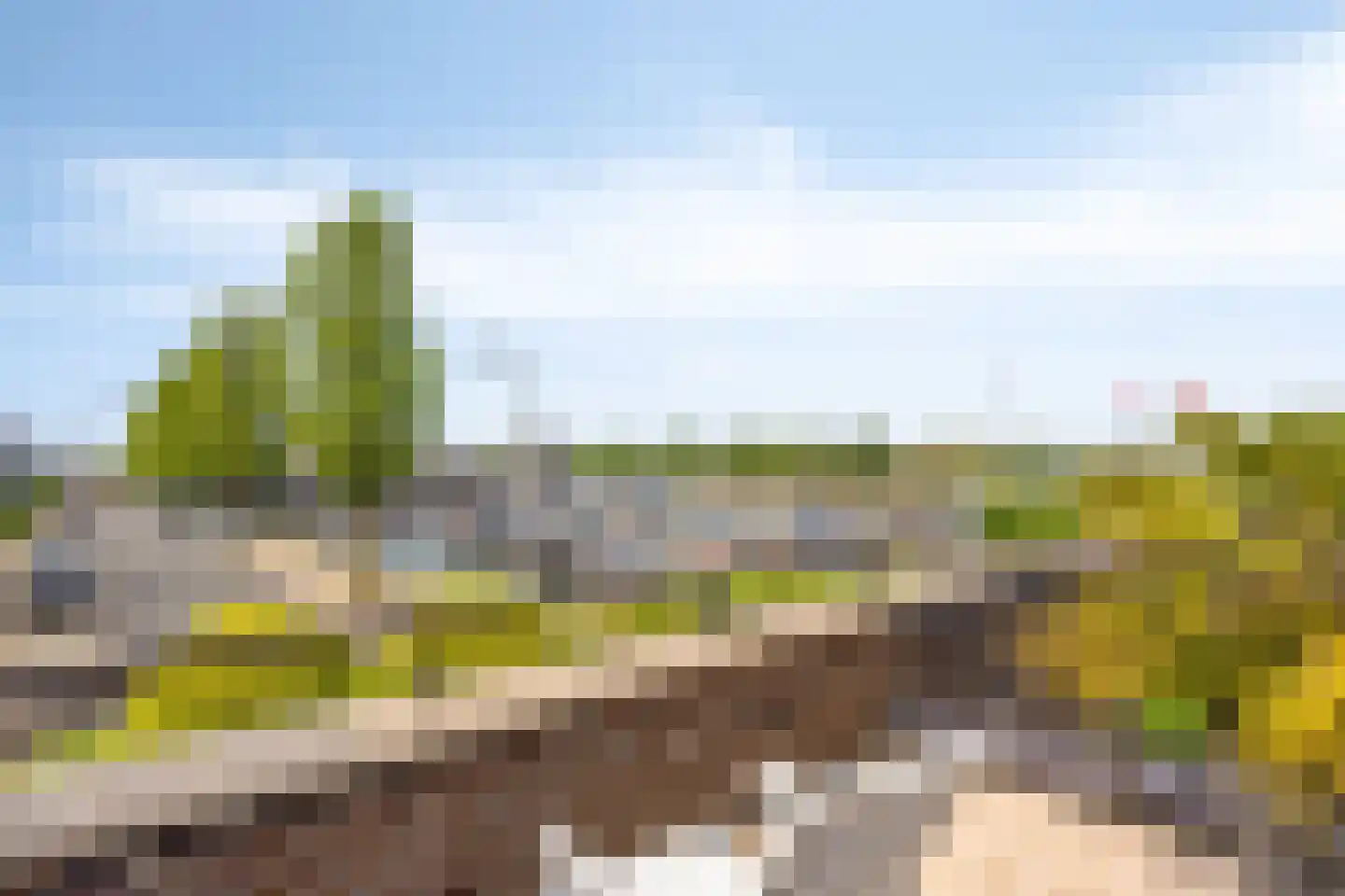 Stagfok 8 Capelle aan den IJssel thumbnail 48