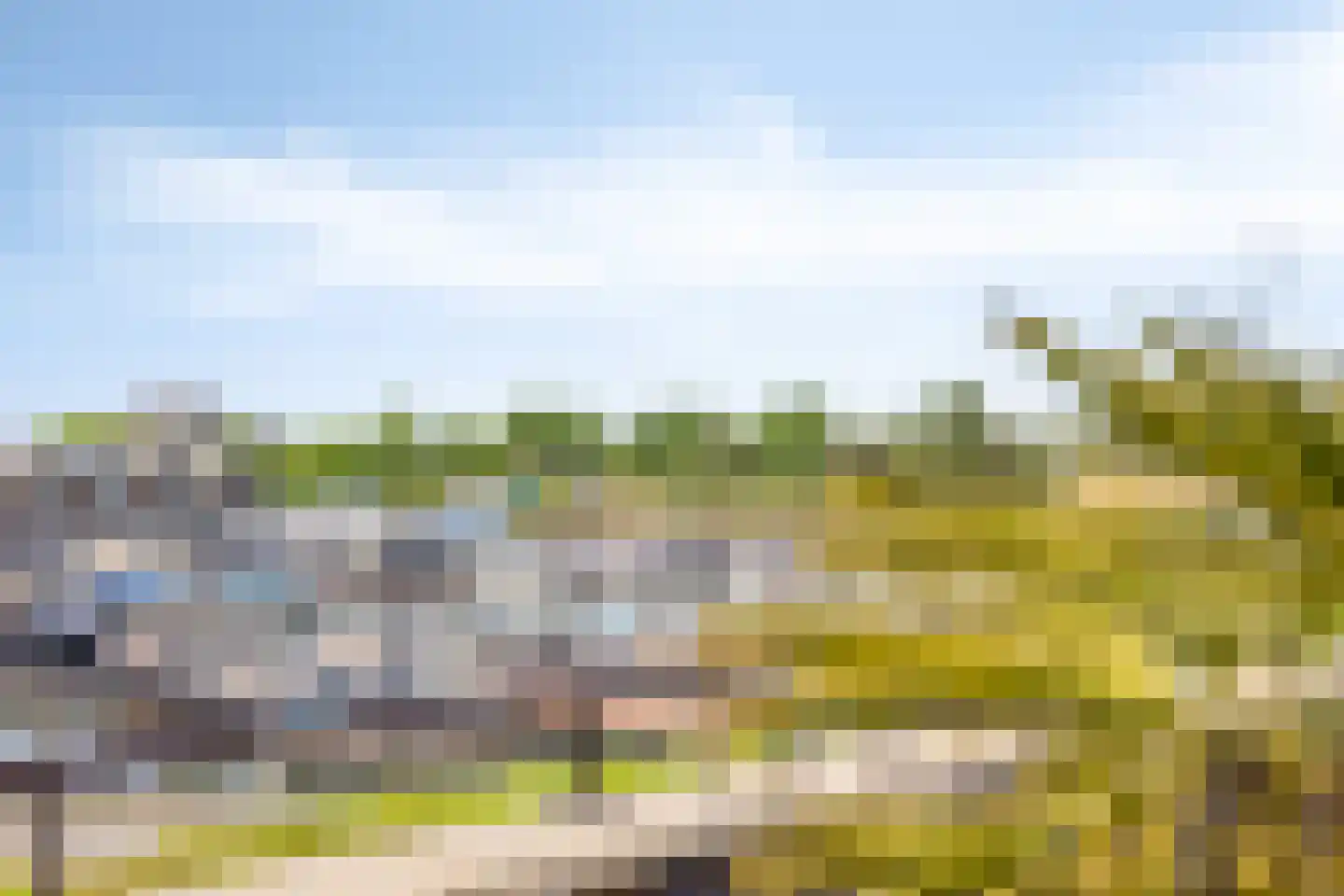 Stagfok 8 Capelle aan den IJssel thumbnail 49