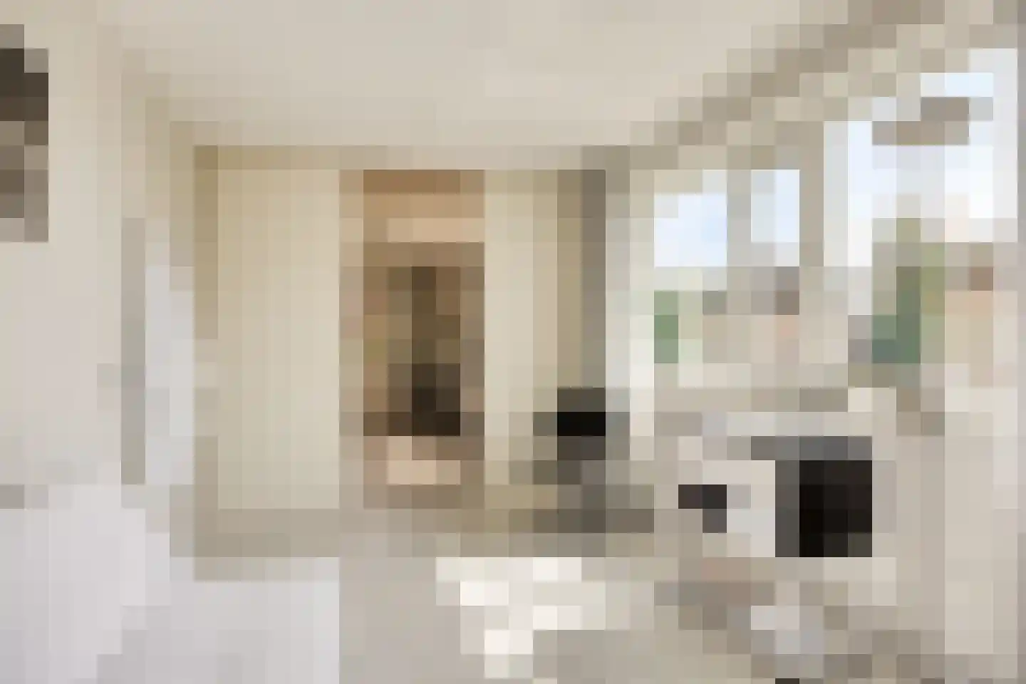 Stagfok 8 Capelle aan den IJssel thumbnail 57