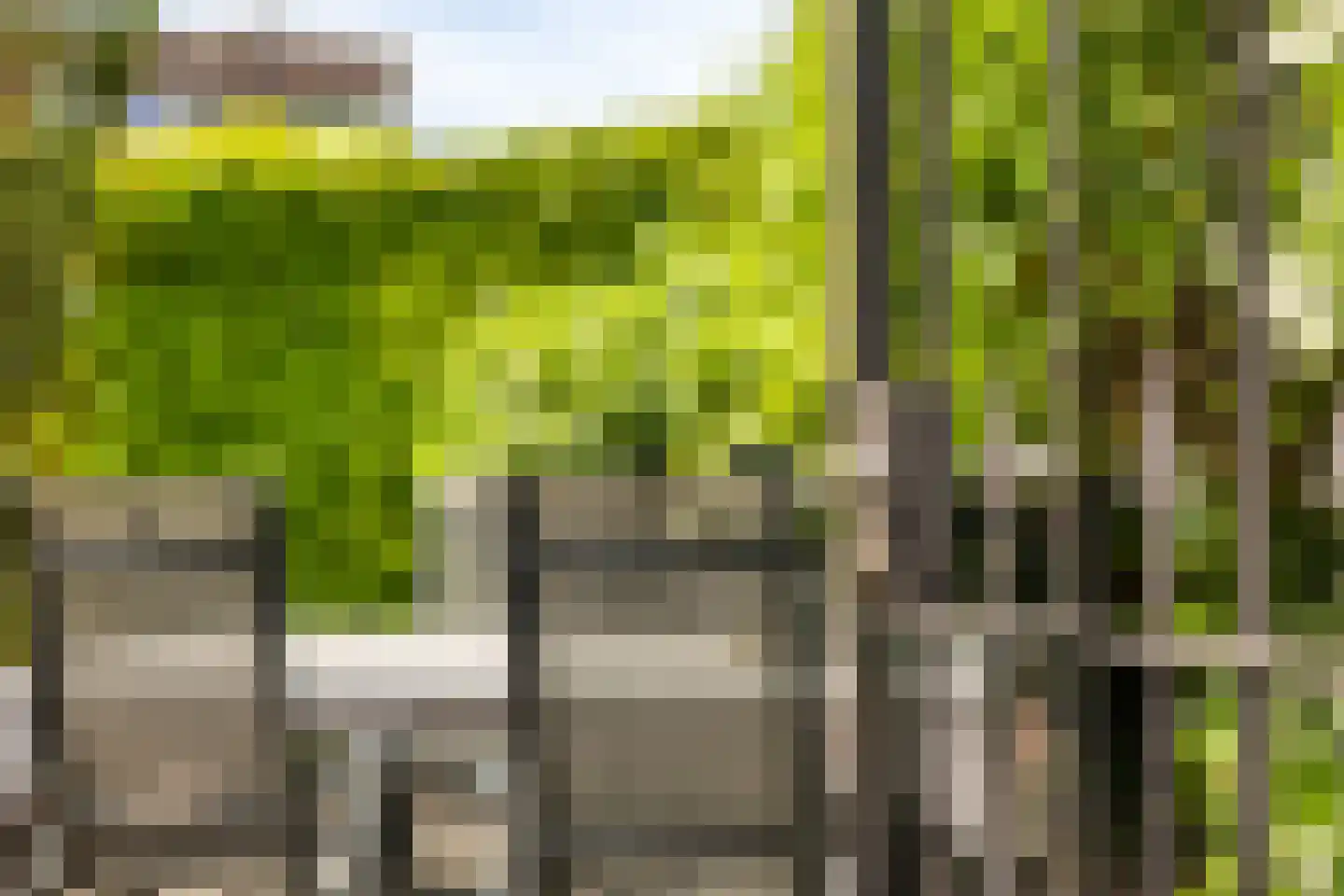 Stagfok 8 Capelle aan den IJssel thumbnail 66