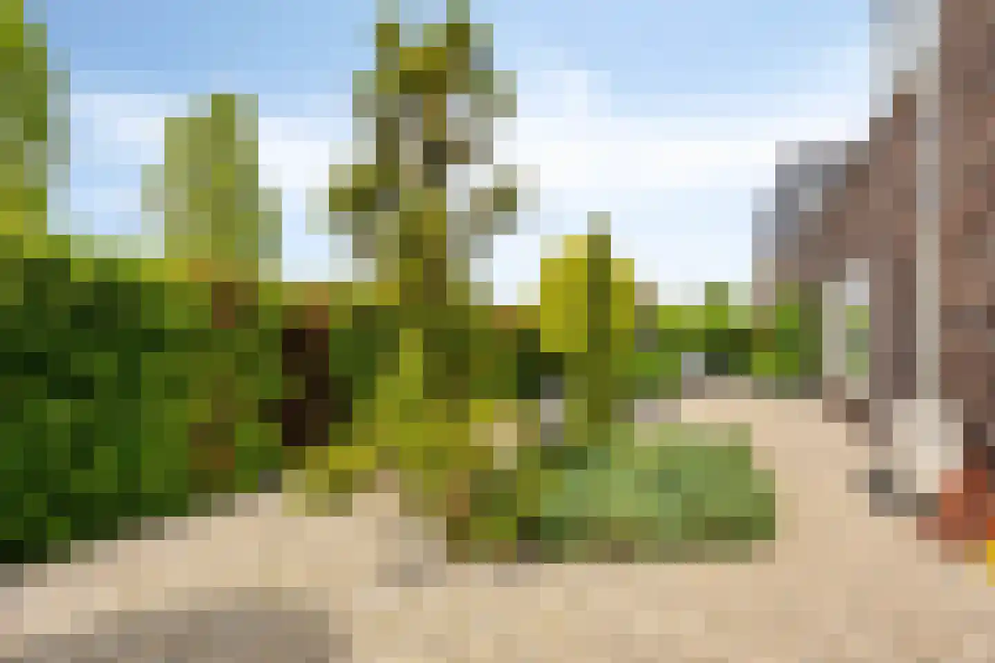 Stagfok 8 Capelle aan den IJssel thumbnail 69