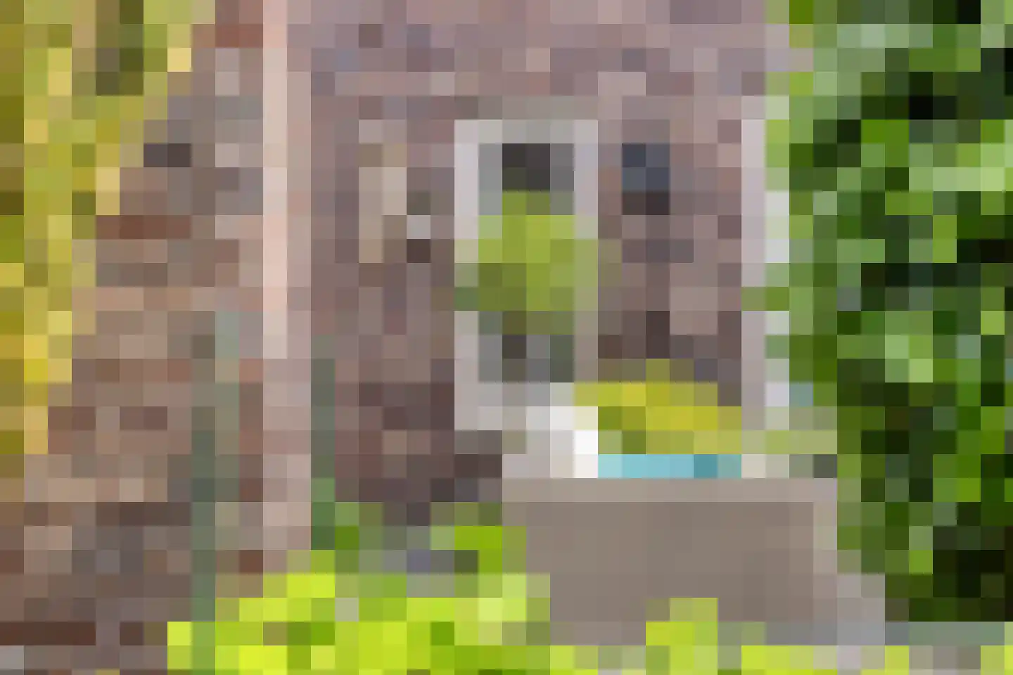 Stagfok 8 Capelle aan den IJssel thumbnail 71
