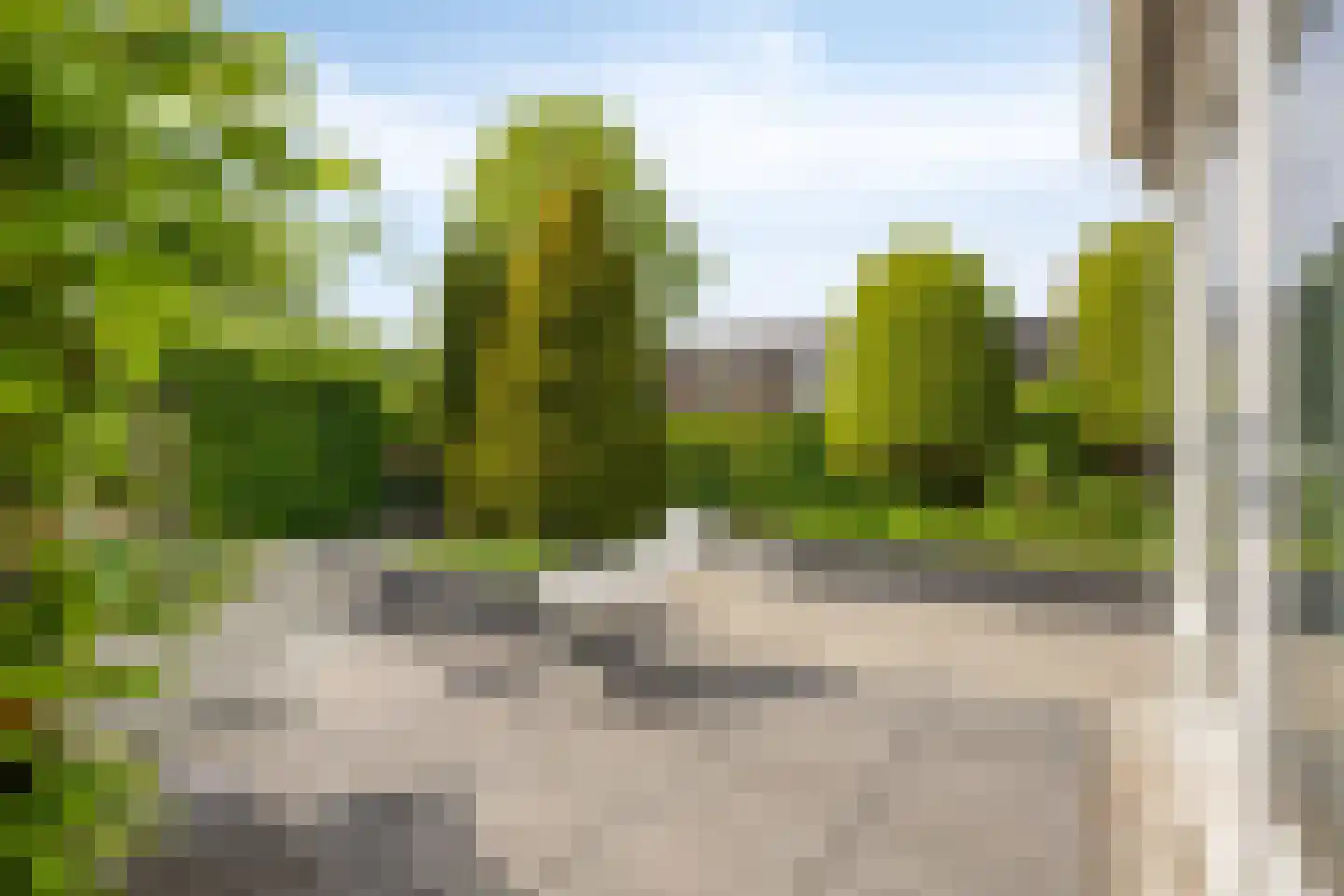 Stagfok 8 Capelle aan den IJssel thumbnail 76