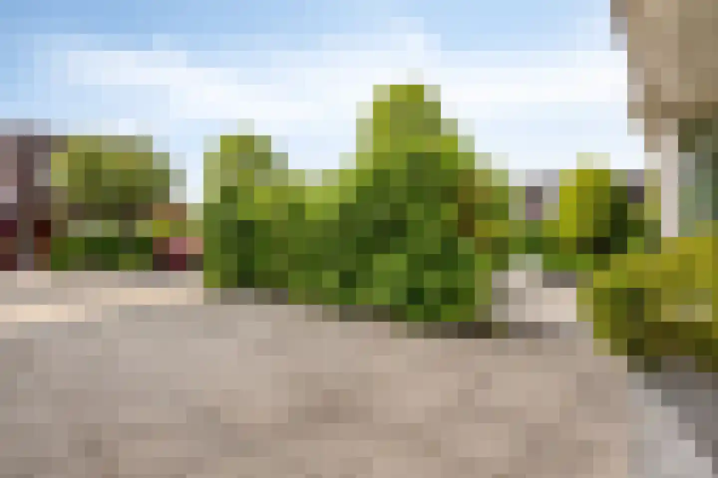 Stagfok 8 Capelle aan den IJssel thumbnail 77