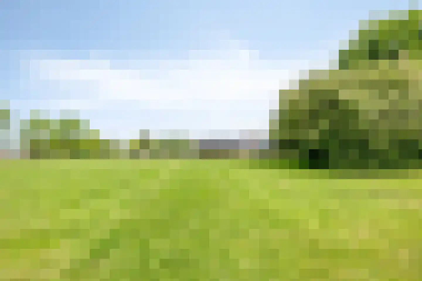 Stagfok 8 Capelle aan den IJssel thumbnail 84