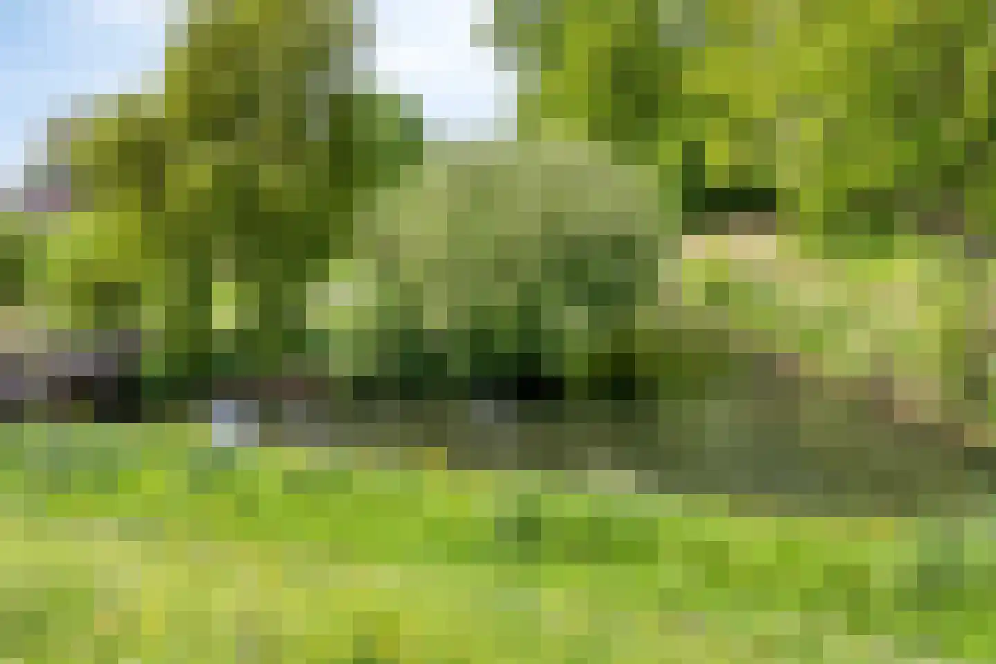 Stagfok 8 Capelle aan den IJssel thumbnail 85