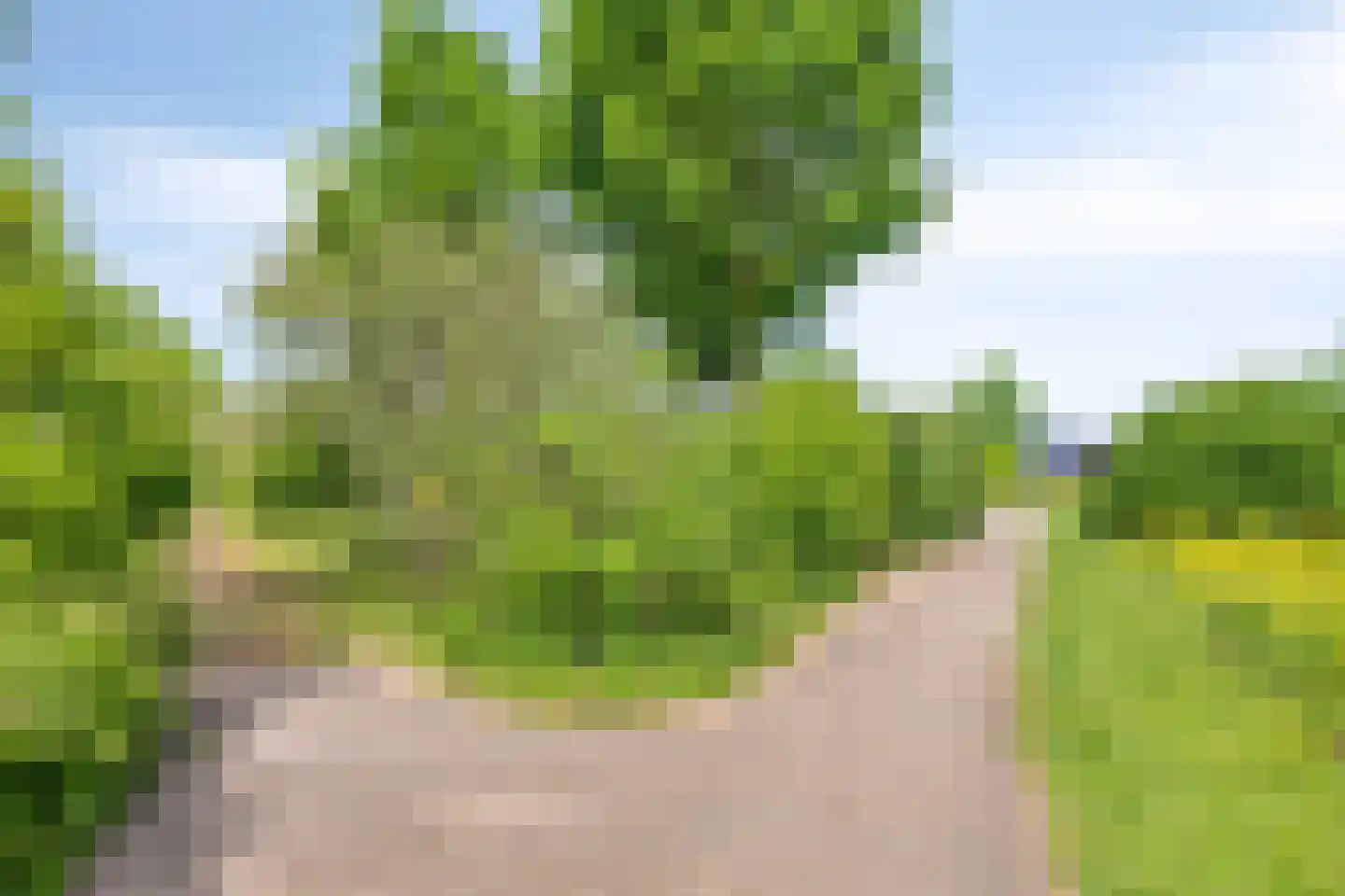 Stagfok 8 Capelle aan den IJssel thumbnail 86