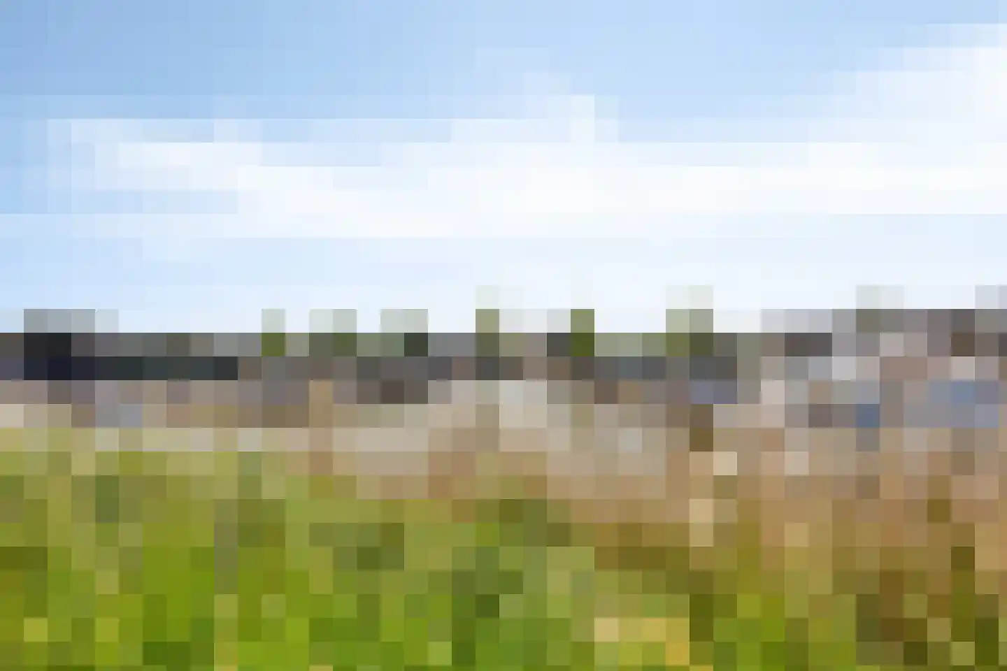 Stagfok 8 Capelle aan den IJssel thumbnail 88