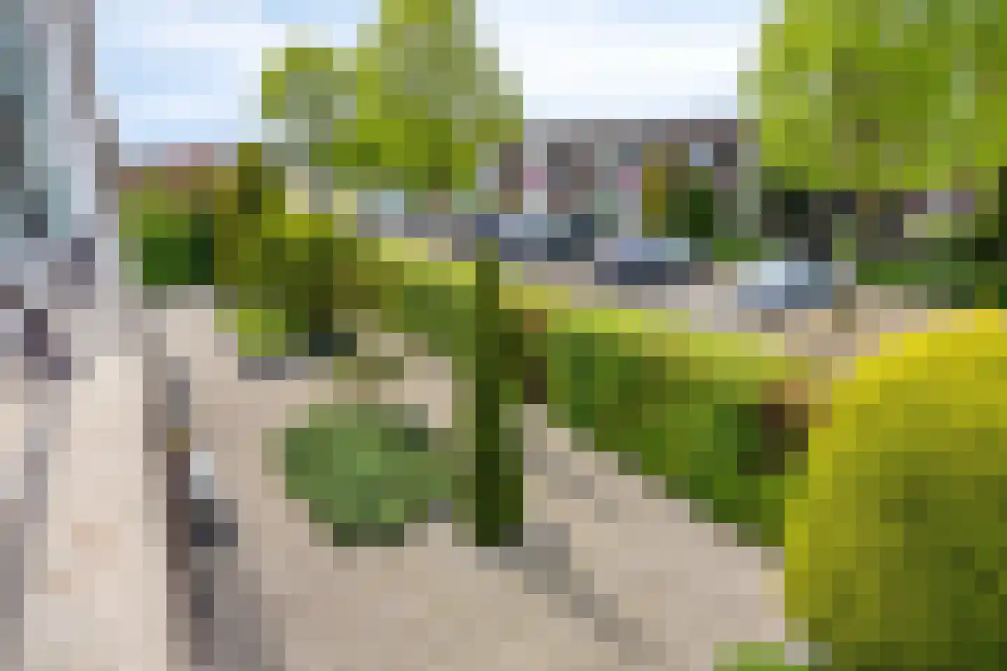 Stagfok 8 Capelle aan den IJssel thumbnail 90