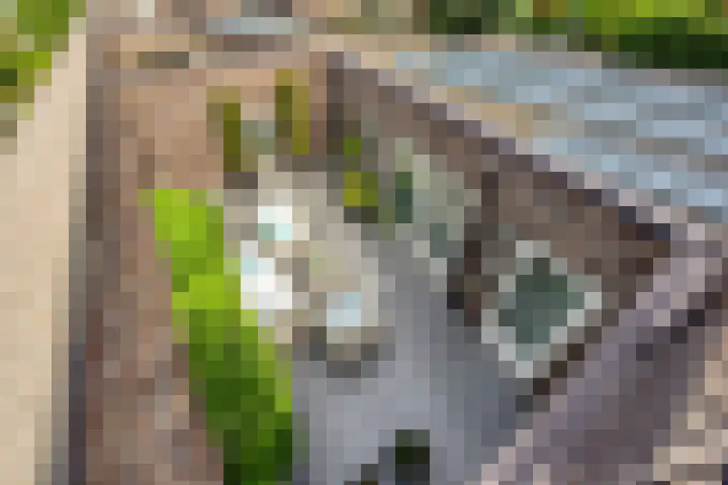 Stagfok 8 Capelle aan den IJssel thumbnail 92