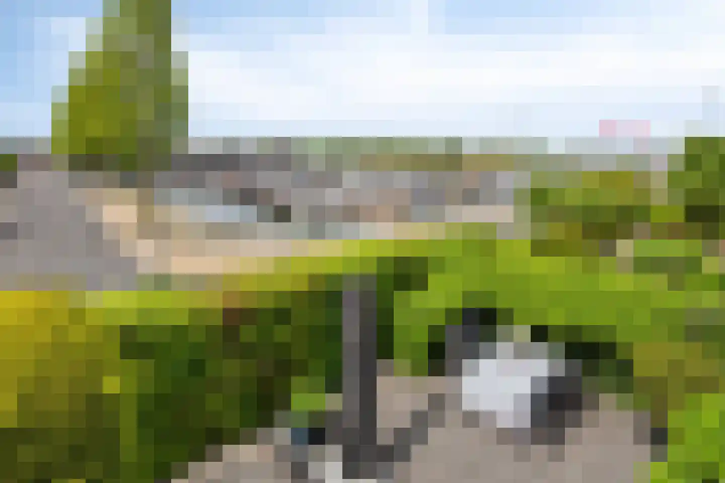 Stagfok 8 Capelle aan den IJssel thumbnail 93