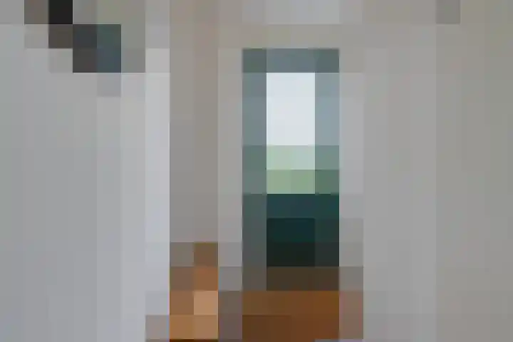 Stakelandje 1 De Rijp thumbnail 10