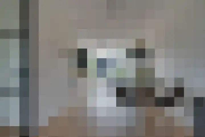 Stakelandje 1 De Rijp thumbnail 13