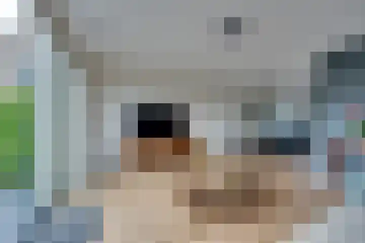 Stakelandje 1 De Rijp thumbnail 16