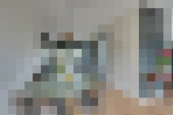 Stakelandje 1 De Rijp thumbnail 18