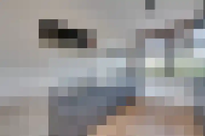 Stakelandje 1 De Rijp thumbnail 19