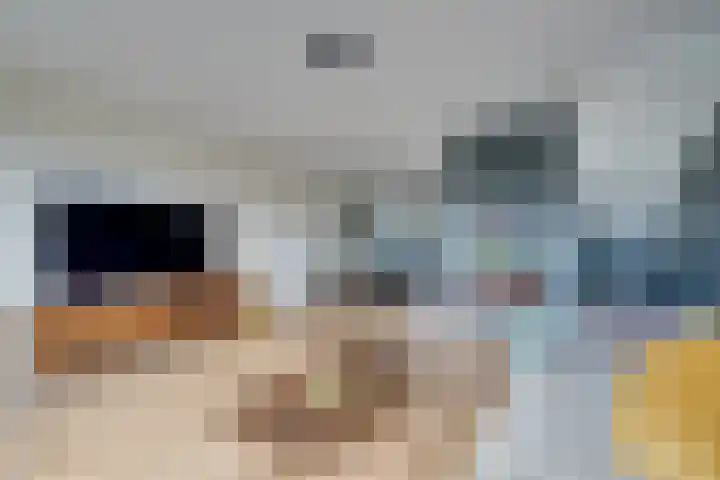 Stakelandje 1 De Rijp foto 2