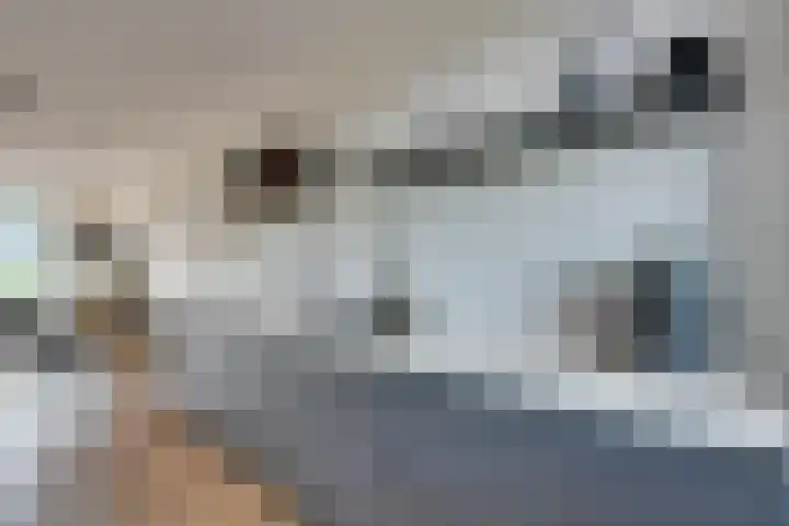 Stakelandje 1 De Rijp thumbnail 20