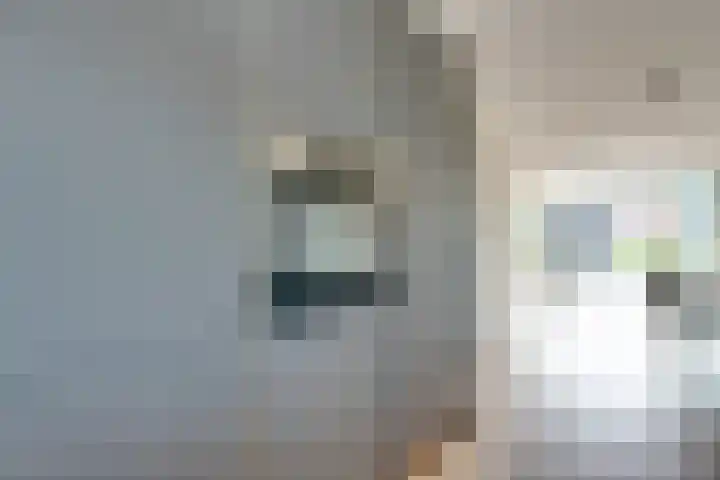 Stakelandje 1 De Rijp thumbnail 21