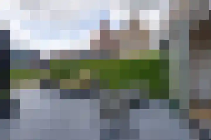 Stakelandje 1 De Rijp thumbnail 22