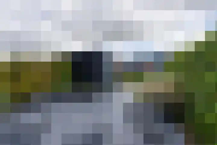Stakelandje 1 De Rijp thumbnail 23